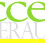 Access Super Audit Pty Ltd - Newcastle Accountants