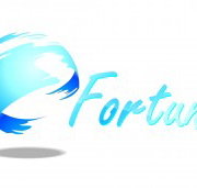 Fortune Wealth Creation Group - Newcastle Accountants