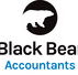 Black Bear Accountants - Newcastle Accountants
