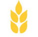 Gibson  Co - Newcastle Accountants