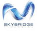 Skybridge Financial - Newcastle Accountants 0