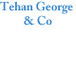 Tehan George  Co - Newcastle Accountants