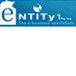 Entity 1 Pty Ltd - Newcastle Accountants 0