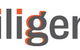 Diligent Accountants - thumb 0