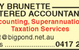 Desley Brunette Chartered Accountant - thumb 3