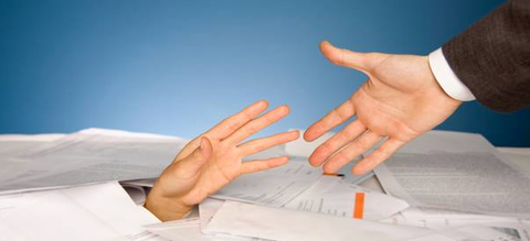 Bizinsights Pty Ltd - Newcastle Accountants 7