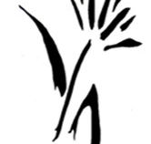 Bloomfield  Associates - Newcastle Accountants