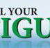 All Your Figures - Newcastle Accountants