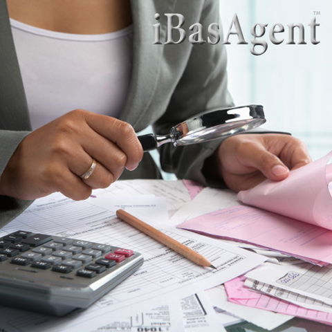 IBasAgent - Newcastle Accountants 1