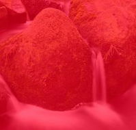 RedFrog Bookkeeping - Newcastle Accountants