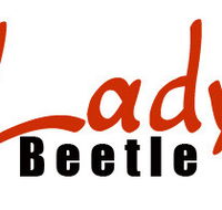 Lady Beetle Business Solutions - Newcastle Accountants