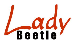 Lady Beetle Business Solutions - Newcastle Accountants 0