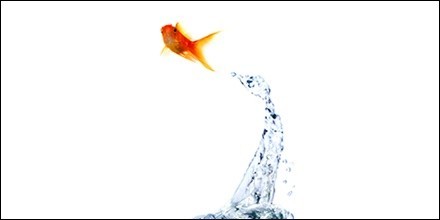 Bookkeeping Solutions - Hunter Valley - Newcastle Accountants 2