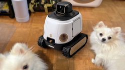 AI robot may stop your dog from barking while you're gone Newcastle Accountants