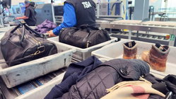 Airport X-ray reveals shocking illegal stash concealed beside passenger's Xbox Newcastle Accountants