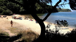 Deadly mystery unfolds as canoeists are found unresponsive after midnight trip Newcastle Accountants
