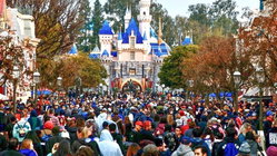 Disneyland guests left scrambling after water outage shuts bathrooms and restaurants Newcastle Accountants