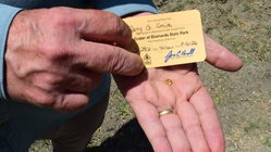 Grandfather finds hidden treasure in plain sight as park officials 'dumbfounded' by discovery Newcastle Accountants