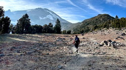 Mount Shasta climber recounts harrowing 500-foot slide, overnight crawl to safety: report Newcastle Accountants