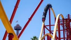 Popular amusement park bans guest for life after roller coaster stunt viral video Newcastle Accountants