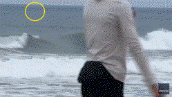 Shark Week shocker as great white breaches just yards from oblivious boogie boarder Newcastle Accountants